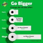 Bounty White, Select-A-Size Paper Towel Roll (12 Double Plus Rolls) 003077215665