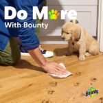 Bounty White, Select-A-Size Paper Towel Roll (12 Double Plus Rolls) 003077215665