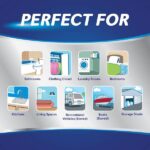 DampRid Drop-In Tab Moisture Absorber Starter Kit, Fresh Scent FG96FSSB