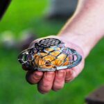 FOGO Blazaball Chimney SW-AC-BL-1