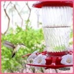 Pennington 64 oz. Hummingbird Clear Electronectar Ready to Use 100543828