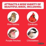 Pennington Premium Birder's Blend 7 lb. Bird Seed Food 100542053