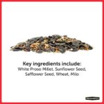 Pennington Premium Birder's Blend 7 lb. Bird Seed Food 100542053