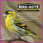Pennington Ultimate 14 lb. Nut and Fruit Bird Seed Food Blend 100542065