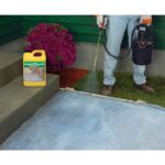Quikrete 5 lb. Acrylic Concrete Cure and Sealer 873002