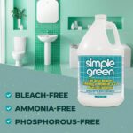 Simple Green 1 Gal. Lime Scale Remover 1700000150128