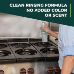 Simple Green 20 oz. Foaming Crystal Cleaner/Degreaser Aerosol 0600000119010