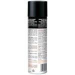 Simple Green 20 oz. Heavy-Duty Aerosol BBQ and Grill Degreaser 0310001260014