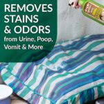 Simple Green 32 oz. Bio Dog Pet Stain and Odor Remover (12-Case) 2010001215301