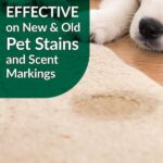 Simple Green 32 oz. Bio Dog Pet Stain and Odor Remover (12-Case) 2010001215301