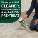 Simple Green 32 oz. Cat Pet Stain and Odor Remover (12-Case) 2010001215311
