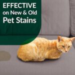 Simple Green 32 oz. Cat Pet Stain and Odor Remover (12-Case) 2010001215311