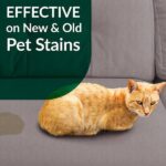 Simple Green 32 oz. Cat Pet Stain and Odor Remover 2000000115311
