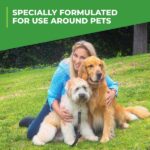 Simple Green 32 oz. Outdoor Odor Eliminator (2-Pack) 7170102000002