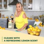 Simple Green Lemon Scent 67.6 oz. Daily Cleaning Kit 1300000130003