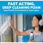 Windex 19 oz. Glass Cleaner Fast Shine Foam, Rainshower Scent 382102