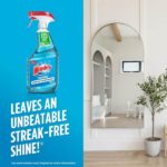Windex 23 fl. oz. Original Glass Cleaner 313042